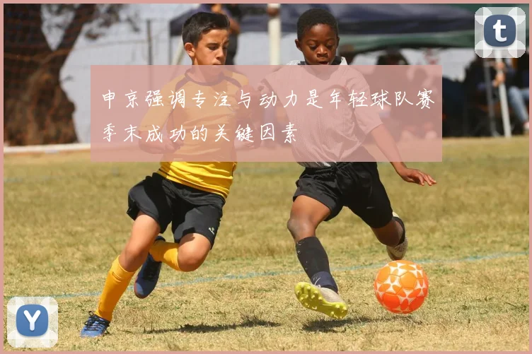 申京强调专注与动力是年轻球队赛季末成功的关键因素