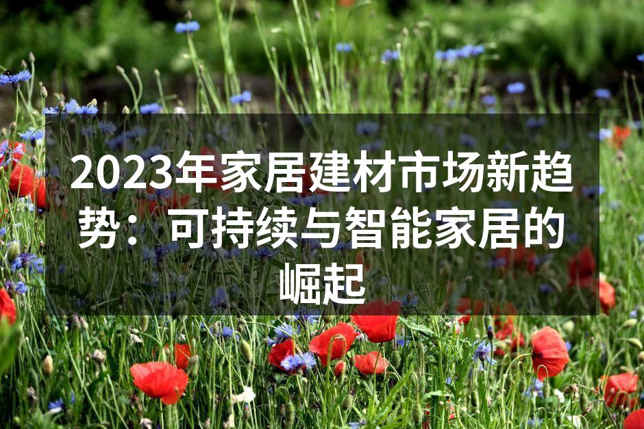 可持续材料的家居产品展示